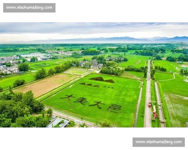 全球足球产业发展趋势与商业模式创新研究及其投融资战略路径分析